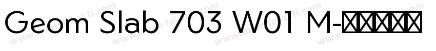 Geom Slab 703 W01 M字体转换